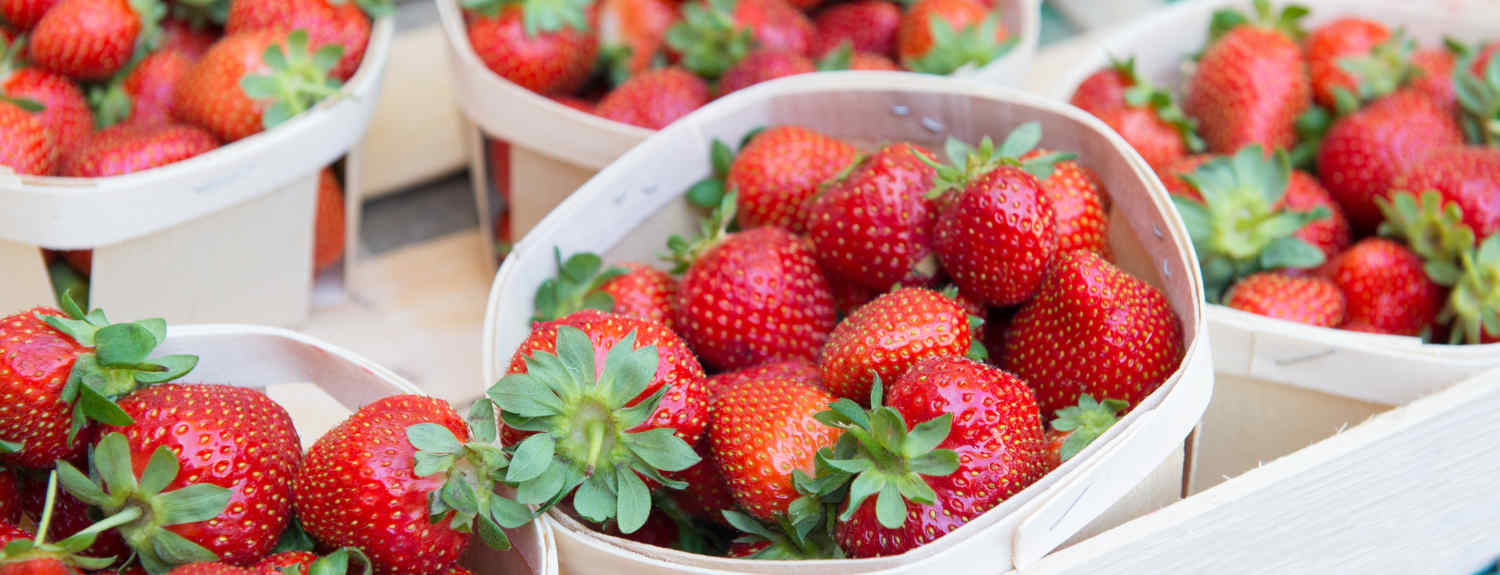 Featured special of the week at Ed's Orchard Market